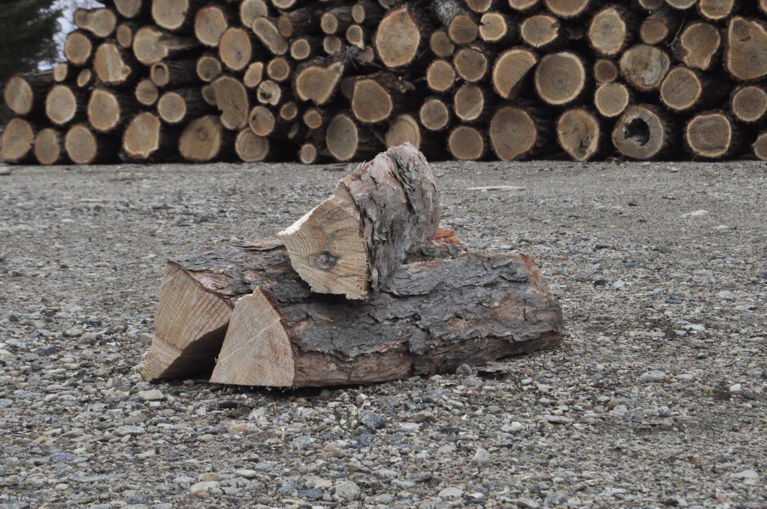 SPF Firewood