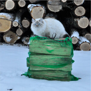 Firewood Bags